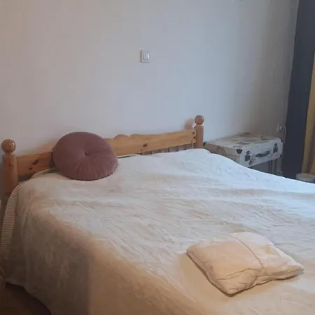 Homestay Antique