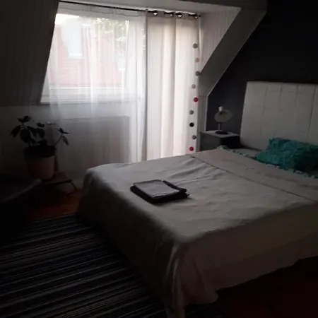 Homestay Antique